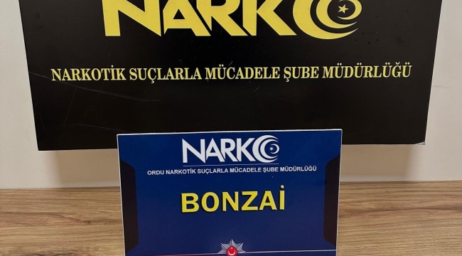 ORDU'DA "UYUŞTURUCU TİCARETİNE" 2 TUTUKLAMA
