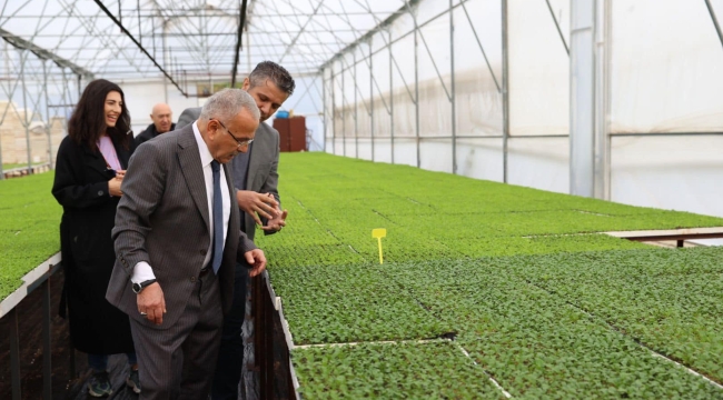 SEBZE FİDELERİ BÜYÜKŞEHİR SERALARINDA YETİŞTİRİLİYOR