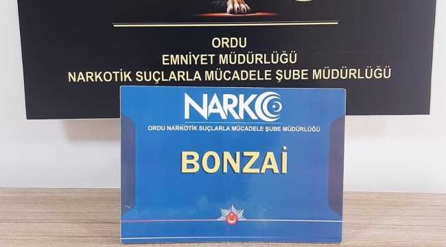 ORDU'DA "UYUŞTURUCU TİCARETİNE" 1 TUTUKLAMA