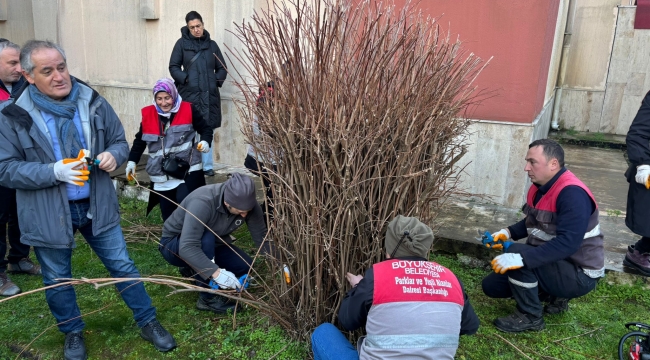 Can ve Mal Güvenliği İçin Budama Çalışması