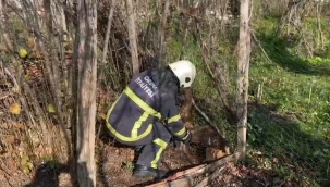 Kümese Giren Doğan İtfaiye Tarafından Kurtarıldı
