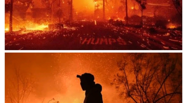 'Melekler Şehri' Cehennemi Yaşıyor: Ölü Sayısı 11'e Yükseldi 