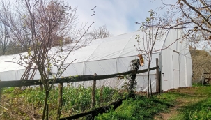 Ordu'da Örtü Altı Tarımına Doping