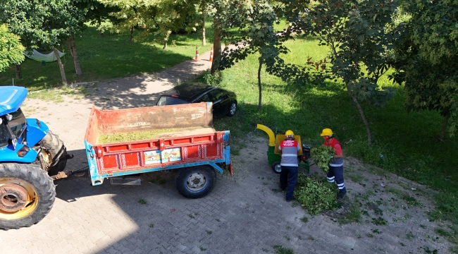 Park ve Yeşil Alanlardaki Organik Atıklar Verimi Artırmak İçin Kullanılıyor