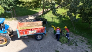 Park ve Yeşil Alanlardaki Organik Atıklar Verimi Artırmak İçin Kullanılıyor