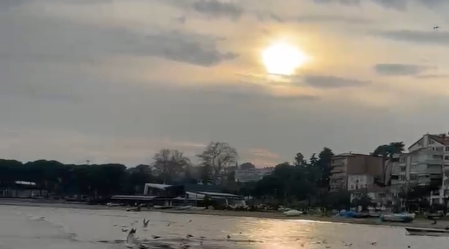 Ünye Yalı Kumsalı'nda Suların Çekilmesi: Rüzgar ve Basınç Etkisi Mi? Yoksa? 