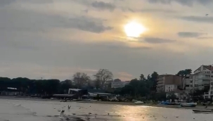 Ünye Yalı Kumsalı'nda Suların Çekilmesi: Rüzgar ve Basınç Etkisi Mi? Yoksa? 