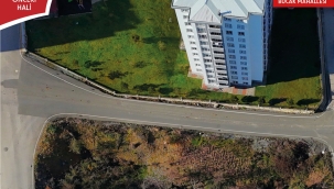 Altınordu Belediyesi Yayaların Güvenliğini Artırıyor