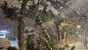 Esaret ve Eğlence Bir Arada