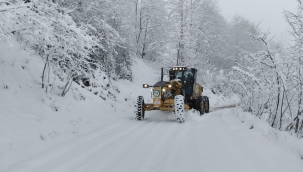 Ordu'da Kar Esarete Dönüşmedi!