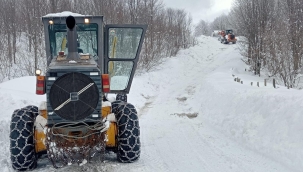 Ordu'da Kar Mücadelesi Sürüyor