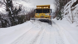 Ordu'da Kar Yağışı ve Soğuk Hava Ordu'da Hayatı Olumsuz Etkiliyor