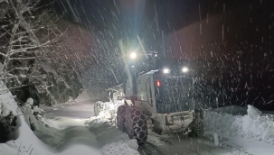 Ordu'da Karla Mücadelede Yoğun Tempo