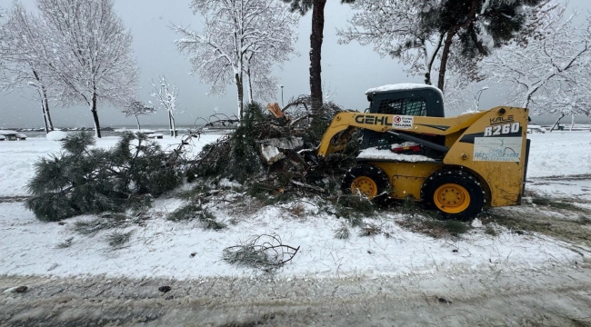Ordu'da Şiddetli Kar Ağaçlara Zarar Verdi