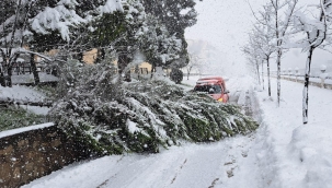 Ordu İtfaiyesi Her Yerde