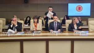 Şanlıtürk, Meclis Araştırma Komisyonu'nda