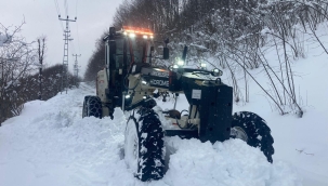 Ünye'de Karla Mücadele Çalışmaları Aralıksız Sürüyor