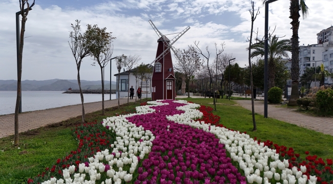 Altınordu'da Görsel Şölen