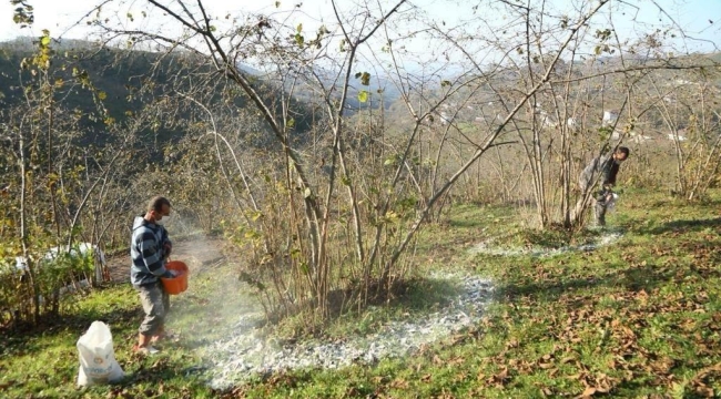 Fınver Projesi İl Sınırlarını Aştı