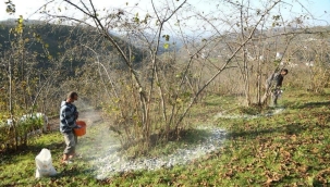 Fınver Projesi İl Sınırlarını Aştı