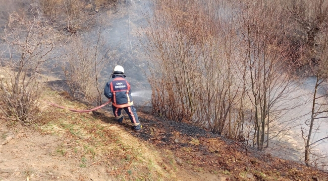 Ordu'da Bahçe ve Anız Yangınları Arttı