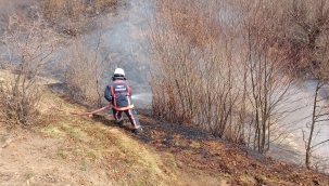 Ordu'da Bahçe ve Anız Yangınları Arttı