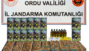 Ordu Jandarma'dan Sahte Zeytinyağı Operasyonu