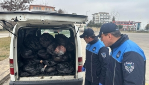 Zabıtadan Ünye Otogarda Operasyon