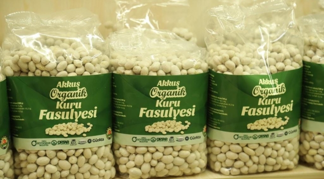 Akkuş Şeker Fasulyesine Dev Destek