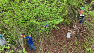 Ordu'da Bahçelerde Verim Artıyor