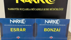 Ordu'da Narkotik Operasyonlar Sürüyor: 14 Gözaltı