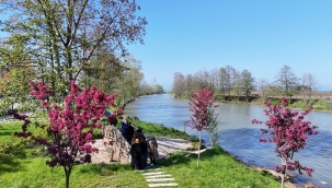 Ordu'nun Parklarında Ağaçlar Çiçek Açtı