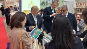 Ünye'den Japonya Çıkarması