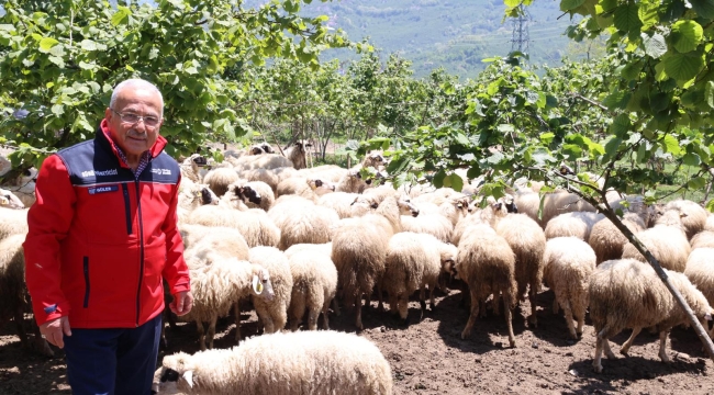 Başkan Güler: "Dağıtımını Yaptığımız Hayvanları Kendimiz Yetiştiriyoruz"