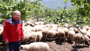 Başkan Güler: "Dağıtımını Yaptığımız Hayvanları Kendimiz Yetiştiriyoruz"