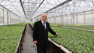 Büyükşehir, 5 Yılda 4 Milyon Sebze Fidesi Dağıttı