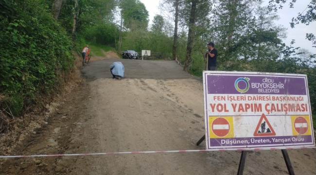 Büyükşehir Belediyesi'nden 19 İlçede Yoğun Çalışma