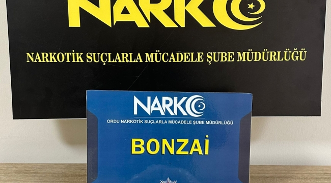 Ordu'da Uyuşturucu İle Mücadele Sürüyor: 28 Gözaltı