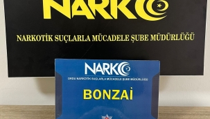 Ordu'da Uyuşturucu İle Mücadele Sürüyor: 28 Gözaltı