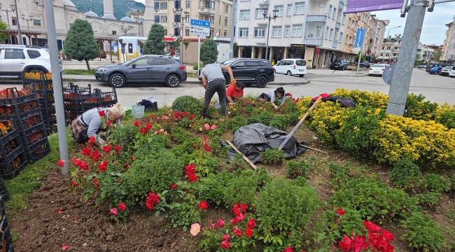 Ordu'nun Dört Bir Yanı Çiçek Bahçesi