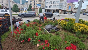 Ordu'nun Dört Bir Yanı Çiçek Bahçesi
