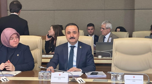 Şanlıtürk: "Türkiye'nin Gerçeklerini Göz Ardı Etmemek Gerekir"