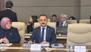 Şanlıtürk: "Türkiye'nin Gerçeklerini Göz Ardı Etmemek Gerekir"