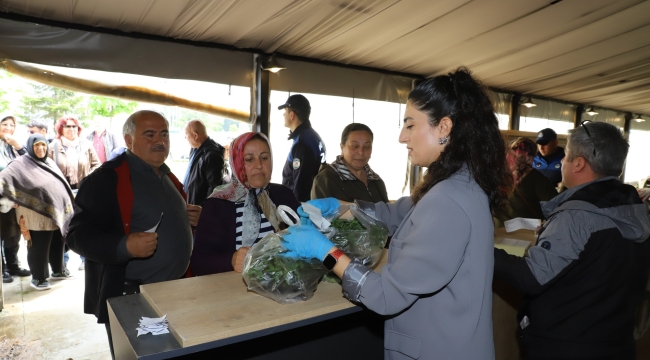 Üreticilerden Fide Dağıtımına Yoğun İlgi