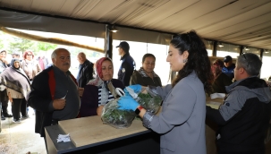 Üreticilerden Fide Dağıtımına Yoğun İlgi