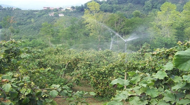Vali Erol, Tarım Arazilerinin Tarım Dışı Amaçla Kullanım İzinlerine Dikkat Çekti