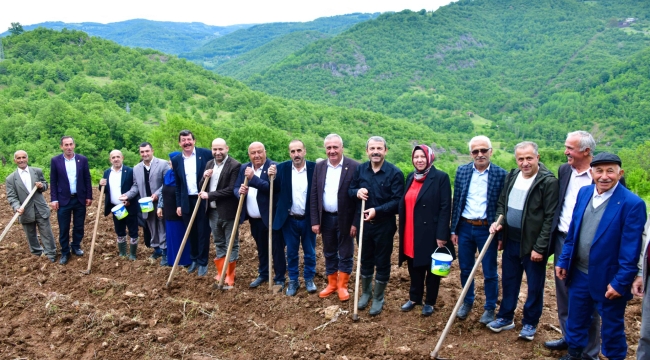 Akkuş Şeker Fasulyesinde Ekim Zamanı
