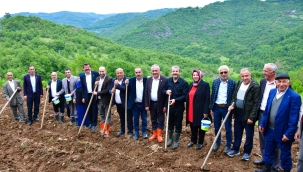 Akkuş Şeker Fasulyesinde Ekim Zamanı