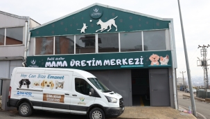 Altınordu Belediyesi "Sokak Hayvanları Doğal Yaşam Alanı" Kuruyor