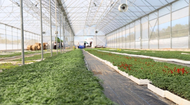 Başkan Güler: "Ordu, Kendi İhtiyacını Kendi Karşılayan Bir Şehir Haline Geldi"